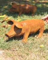 Scale image of medium rustic finish cast iron pig sculpture Scale image of medium rustic finish cast iron pig sculpture