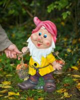 Scale image of "Sorrel" the Garden Gnome
