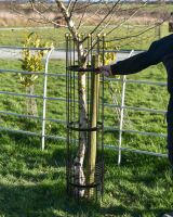 Wrought Iron Traditional "Fernhill" Black Tree Guard To Scale Wrought Iron Traditional "Fernhill" Black Tree Guard To Scale