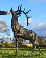 Scale Shot of Antique Bronze "Regiment" Roaring Stag Garden Sculpture on Stand Scale Shot of Antique Bronze "Regiment" Roaring Stag Garden Sculpture on Stand