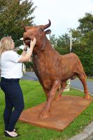 scale view bronze bull