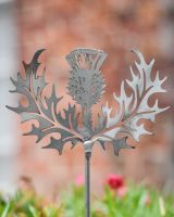 Scottish Thistle Artistic Plant Pot Spike - Set of Two close up