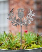 Scottish Thistle Artistic Plant Pot Spike - Set of Two