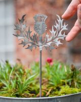 Scottish Thistle Artistic Plant Pot Spike - Set of Two with hand in shot for scale