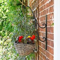 Side View of the Black Scrolled Hanging Basket Bracket Holding a Flower Basket Side View of the Black Scrolled Hanging Basket Bracket Holding a Flower Basket