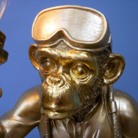 Close-up of the Face of the Scuba Diving Gold Monkey Table Light