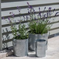 Set of 3 Traditional Galvanised Steel Planter Pots in Use Holding Plants
