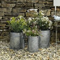 Set of 3 Traditional Galvanised Steel Planter Pots in Situ