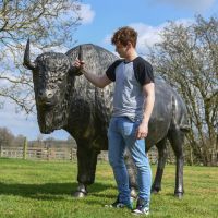 "Maska" Bison Sculpture with Male for Scale