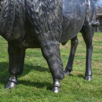 Legs on "Maska" Bison Sculpture 
