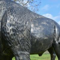 Body of "Maska" Bison Sculpture 