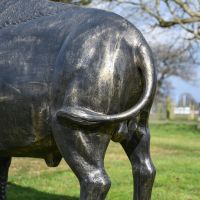 Rear view of "Maska" Bison Sculpture 