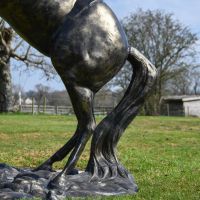 Close up of Rearing Horse Rear End Close up of Rearing Horse Rear End