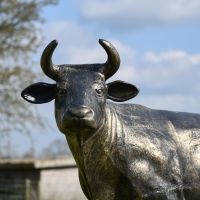 Face of "Daisy" Dairy Cow Sculpture 