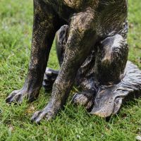 Close up of Feet and Tail on Sitting Fox Sculpture 