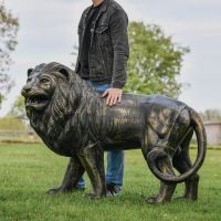 Brushed Gold Lion Sculpture with Male for Scale 