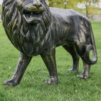 Close up of Brushed Gold Lion Sculpture (Looking Left)