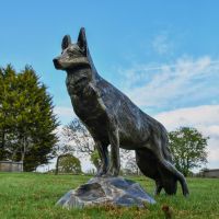 Belgian Shepherd Garden Sculpture 