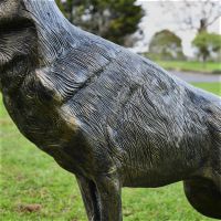 Close up of Black & Gold finish on Belgian Shepherd Dog Sculpture 
