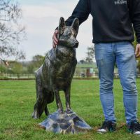 Belgian Shepherd Dog Garden Sculpture with Male for Scale 