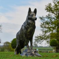 Belgian Shepherd Dog Garden Sculpture 