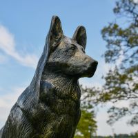 Close up of Dog Sculpture Head 