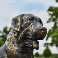 Close up of Brushed Gold Dog Sculpture 