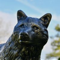 "Luna" Wolf Garden Sculpture 