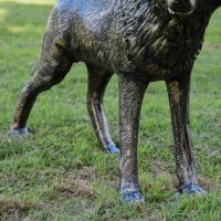 Close up of Legs and Body on Wolf Sculpture 