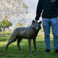 "Luna" Wolf Garden Sculpture with Male for Scale 