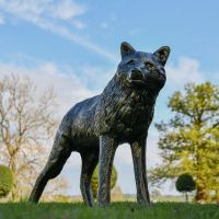 "Luna" Wolf Sculpture in Garden Setting