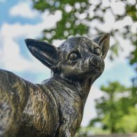 Close up of Brushed Gold Chihuahua Sculpture 