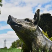 Side view of Pig Sculpture  Side view of Pig Sculpture