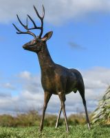 Cast Aluminium Brushed Bronze "Shadow" Buck Sculpture Cast Aluminium Brushed Bronze "Shadow" Buck Sculpture