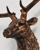 Close Up Of The Face On The Bronze Stag Wall Art