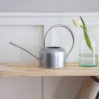 Contemporary Watering Can - 1.1L by Garden Trading in a Silver Finish Contemporary Watering Can - 1.1L by Garden Trading in a Silver Finish