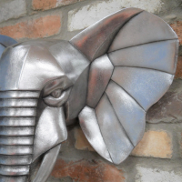 Close-up of the Ear of the Elephant  Close-up of the Ear of the Elephant