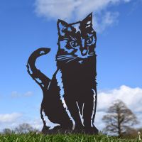 Black Sitting Cat Silhouette 