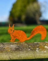 Squirrel Silhouette Fence Topper Designs - Set of Three - Sitting Squirrel Squirrel Silhouette Fence Topper Designs - Set of Three - Sitting Squirrel