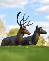 Sitting Stag & Doe Cast Aluminium Sculptures in Situ