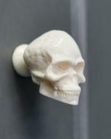 Close up of Skull Cabinet Knob Close up of Skull Cabinet Knob