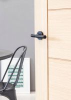  Sleek Black Textured Unsprung Lever Door Handle on Art Deco Rose on Door