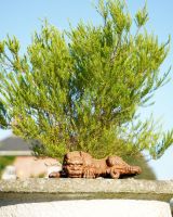 Sleeping Cast Iron Dragon Sculpture Sleeping Cast Iron Dragon Sculpture