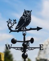 Close-Up of Owl Topper for Slim Steel Weathervane