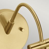 Swan Neck on LED Light