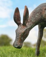 Small Verdigris Grazing Doe close up of head