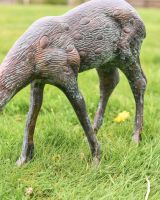 Small Verdigris Grazing Doe close up of body