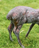 Small Verdigris Grazing Doe close up of tail