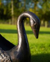 Small Version of the Decorative Swan Garden Planter in a Black and Gold Finish Close up of the Head