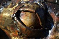 “Oteka” Elephant Calf Sculpture 